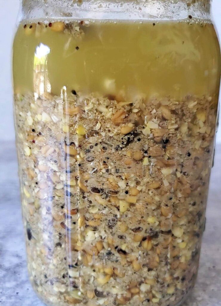 fermented feed for chickens